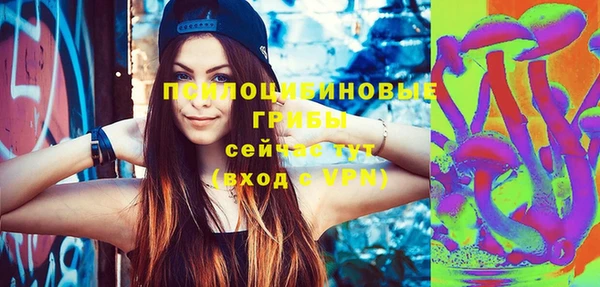 твердый Арсеньев