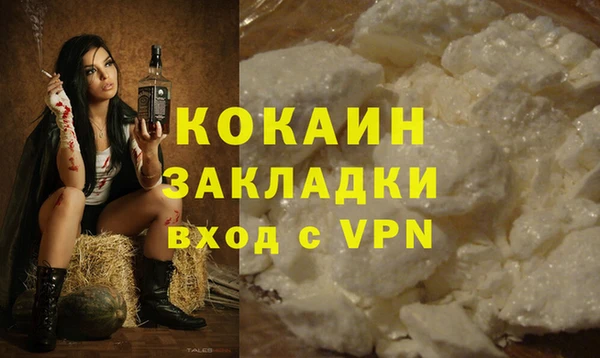 твердый Арсеньев