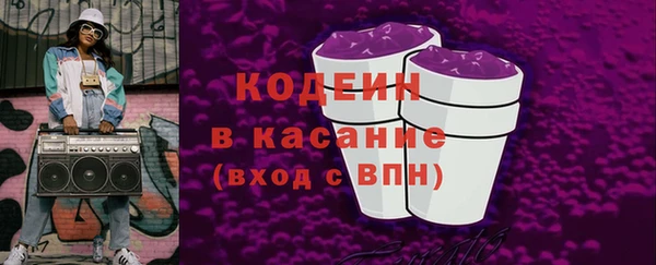 твердый Арсеньев